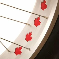 Fat Bikes EVO OMW Fat BIke