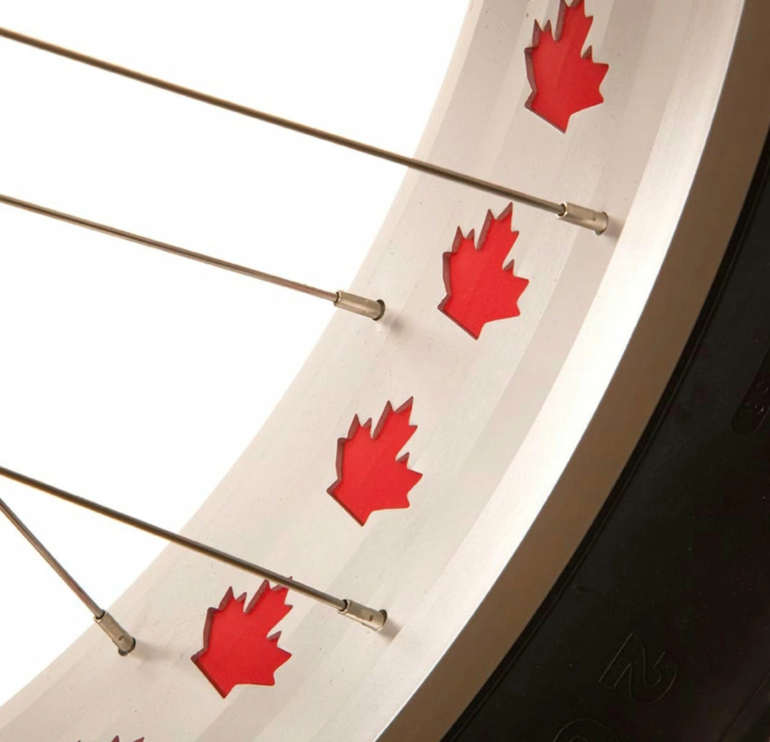 Best reviews of π Fat Bikes EVO OMW Fat BIke π 4 Fat Bikes EVO OMW Fat BIke