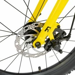 Radio Zuma 20” Kids Bikes